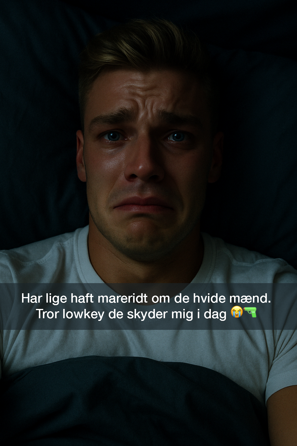 Opslagets billede